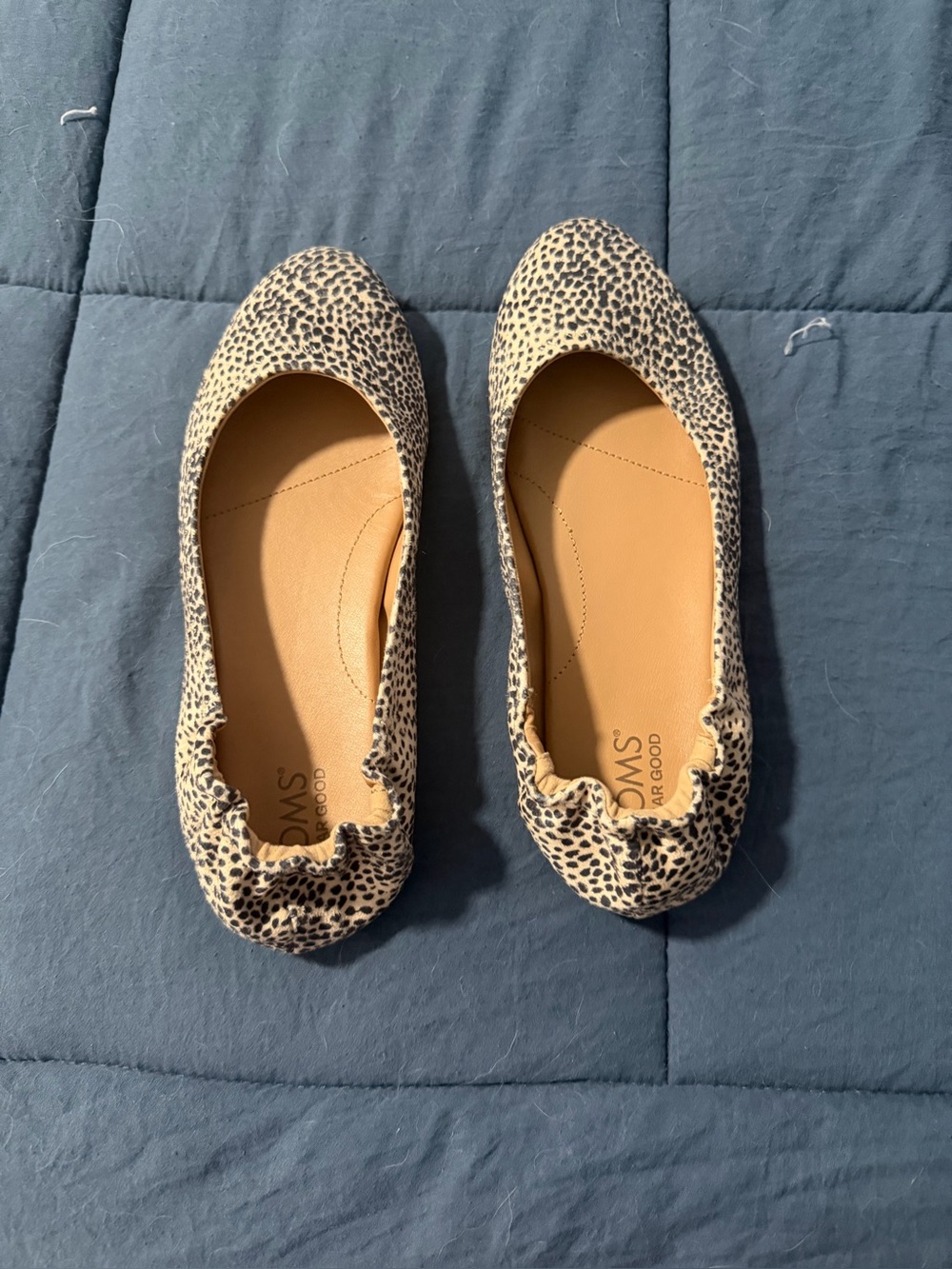Toms Leopard Print Ballet Flats in Beige and Black